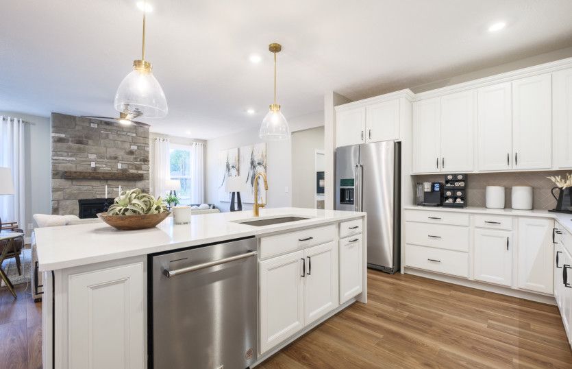 Designer selected kitchen with built-in appliances