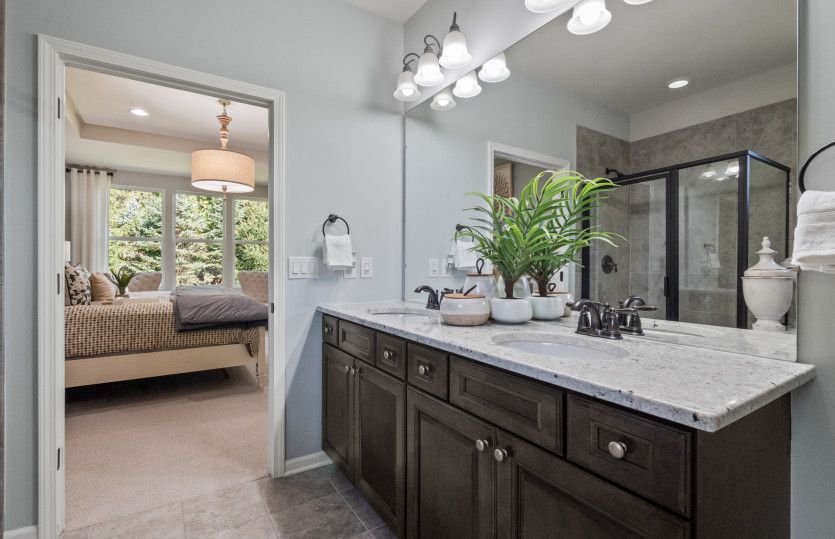 Owner's Bath