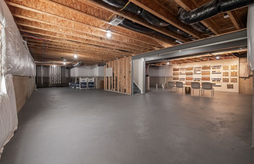 Unfinished Basement