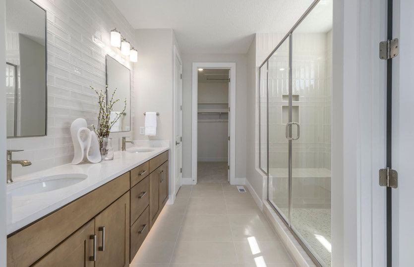 Owner's Bath