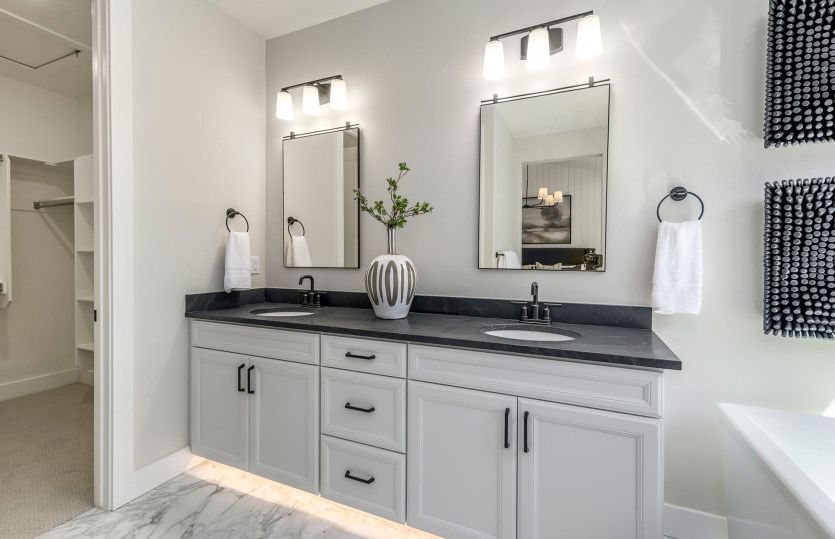 Owner's Bath