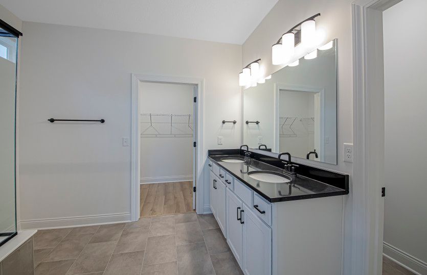 Owner's Bath