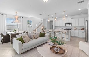 Castaway - Interior - Windsor Cay Resort: Clermont, Florida - Pulte Homes