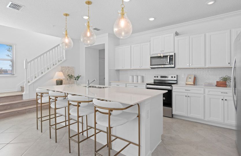 Designer's Kitchen