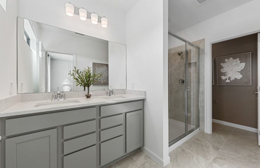 Owner's bathroom
