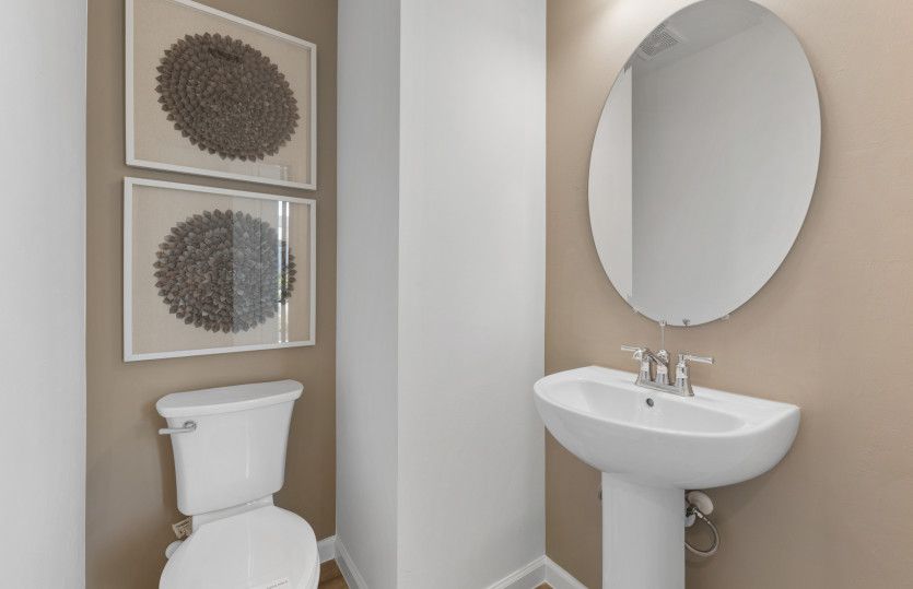 Powder bath | Model Representation