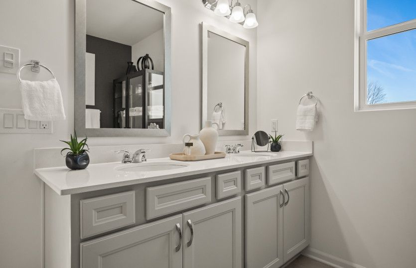 Double Vanity in Owner's Model Representation