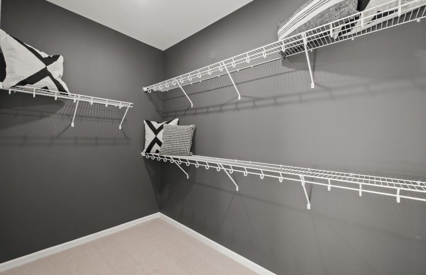 Large Walk-In Closet Model Representation