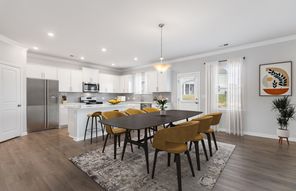 18009 Aura Mist Way (Pennington)