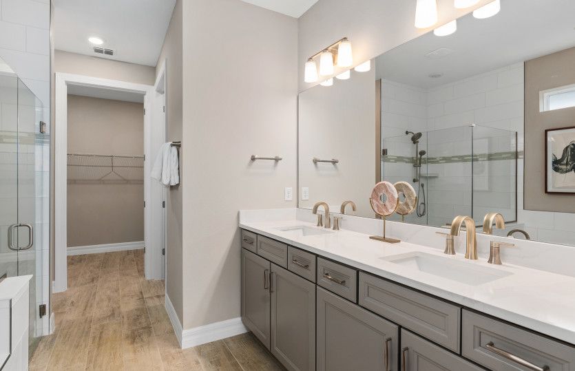 Owner's Bath