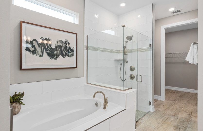 Owner's Bath