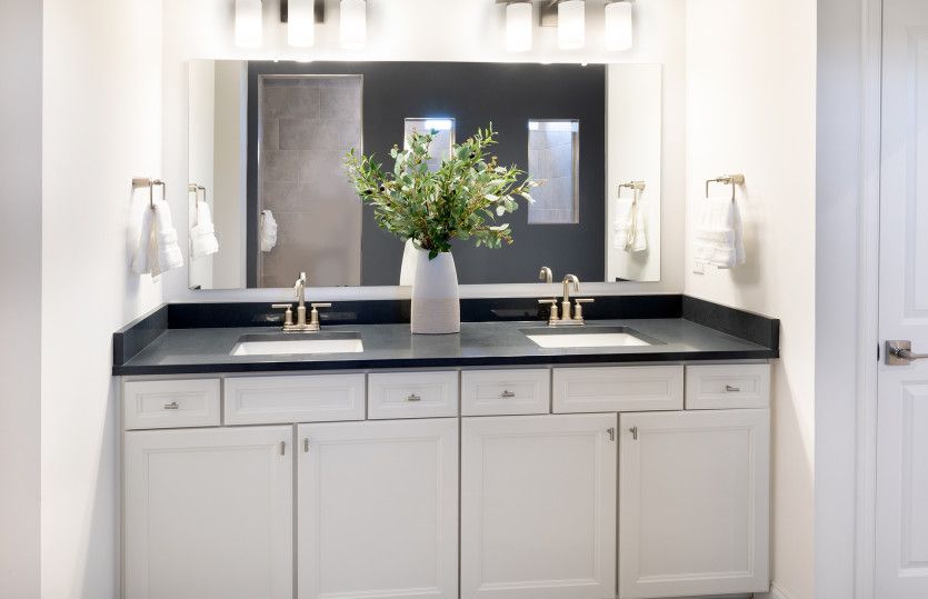 Owner's Bath