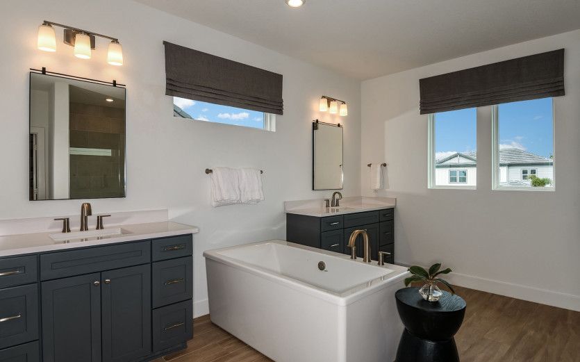 Luxurious Owner's Bath