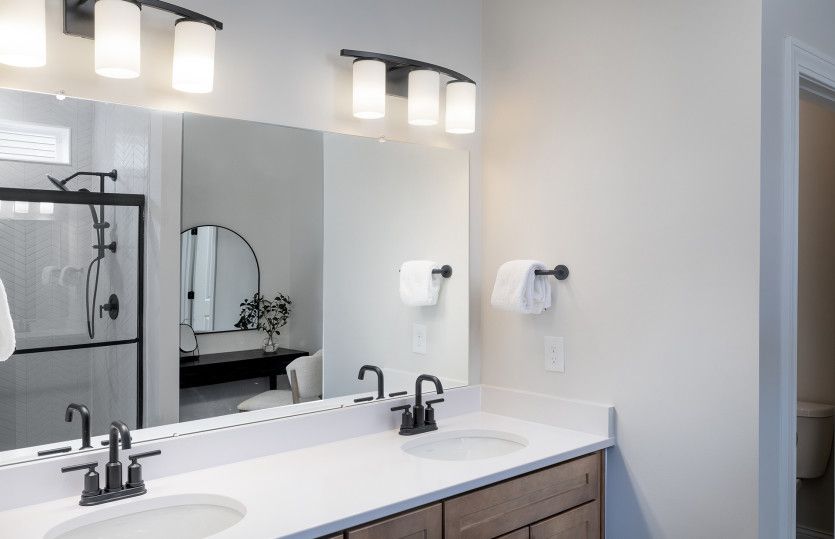 Owner's Bath