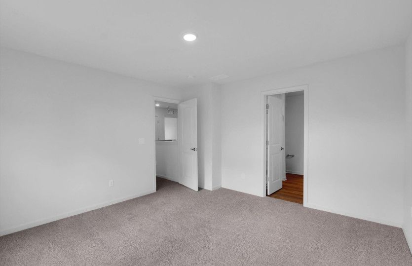 Macalester Home Design