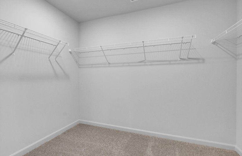 Macalester Home Design