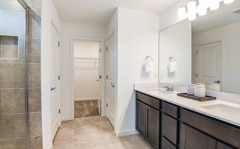 Owner's Bath