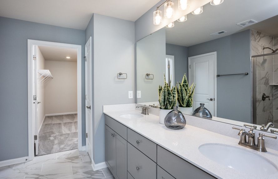 Double Vanity Bathrooms