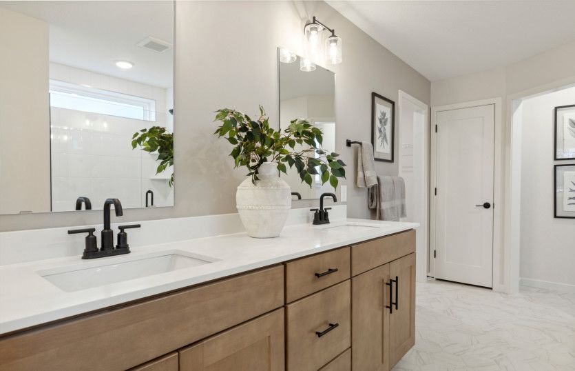 Owner's Bath Suite