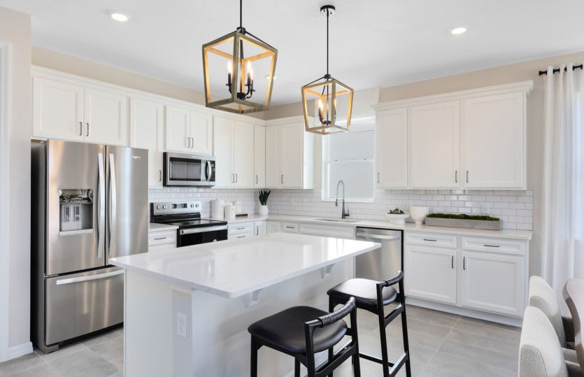 Designer Kitchen