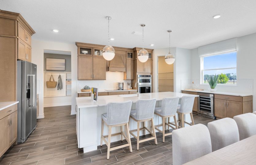 Designer's Kitchen