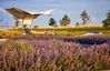 casa en Painted Prairie por Pulte Homes