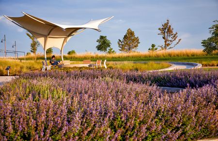 Shade Pavilion