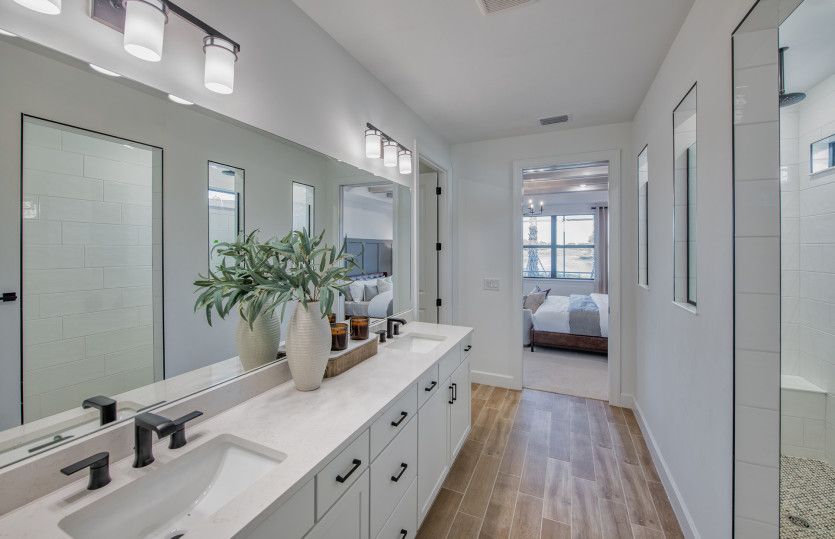 Owner's bath