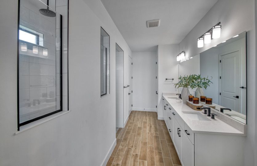 Owner's bath