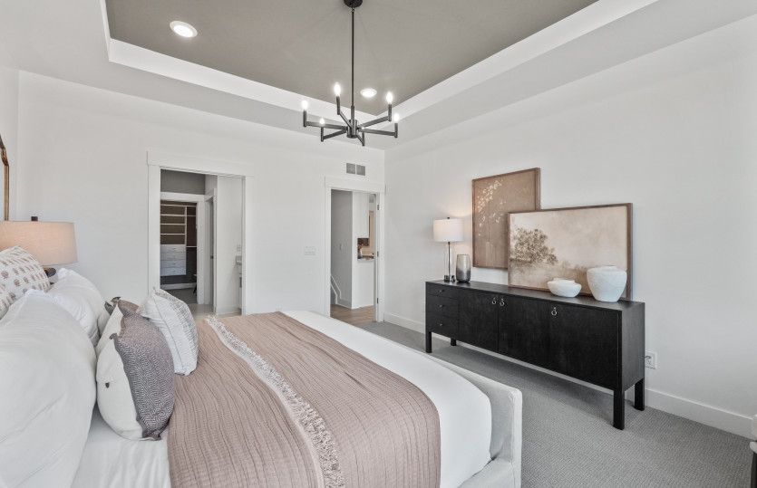 Owner's Suite with Tray Ceiling