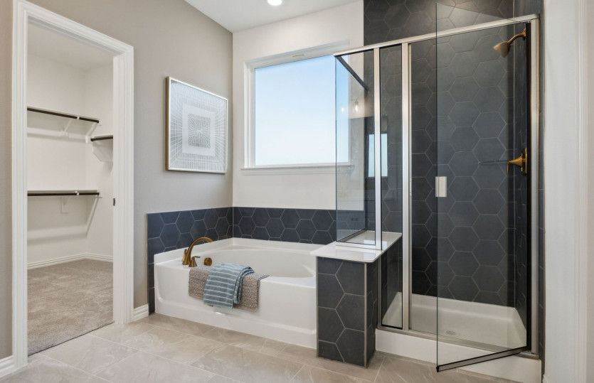 Large tub and shower in owner's bath