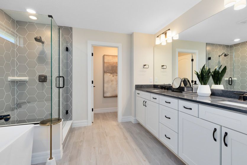 Owner's Bath