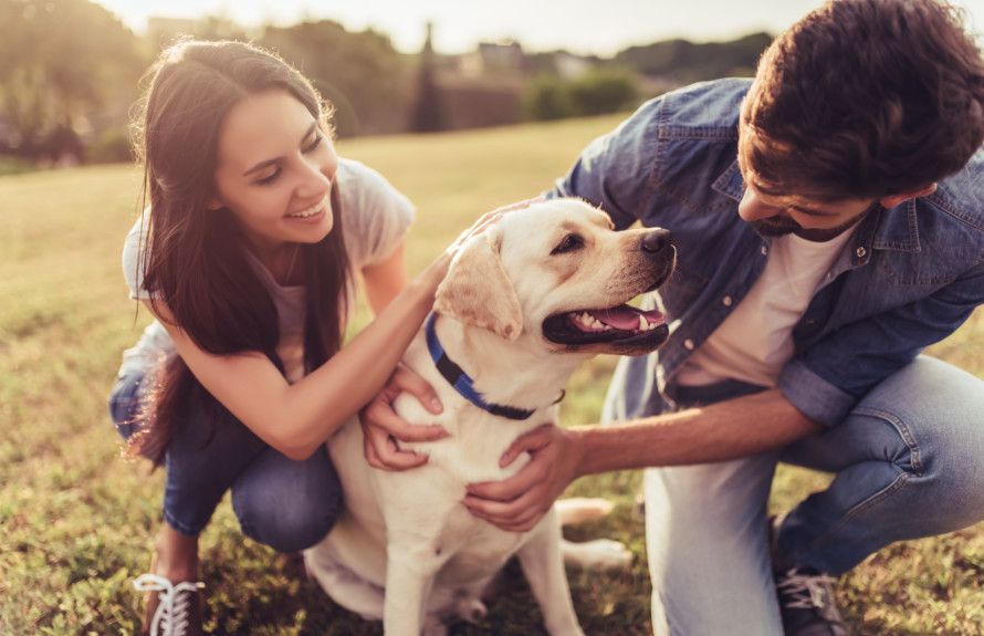 Take Your Pup to the Dog Park