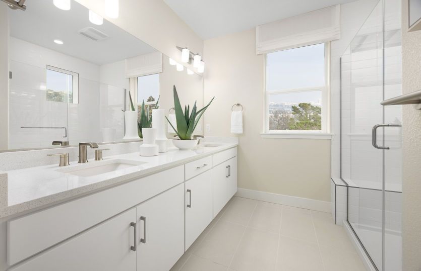 Owner's bathroom with walk-in shower