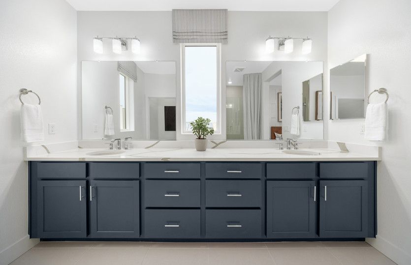 Owner's bathroom with walk in shower