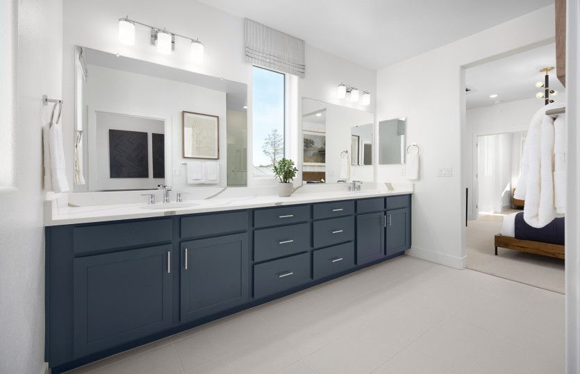 Primary suite bathroom