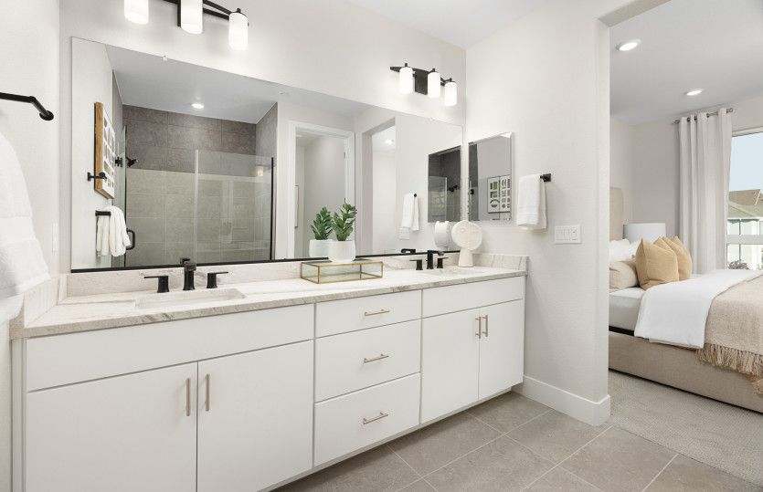 Owner's bathroom with walk in shower