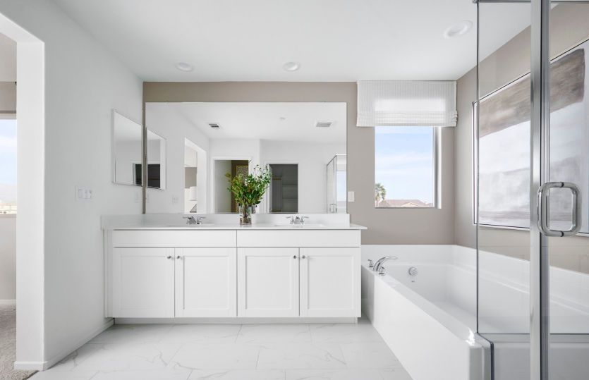 Visionary Owner's Bathroom