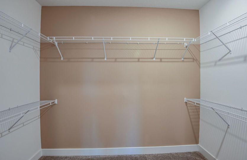 Owner's Walk-In Closet