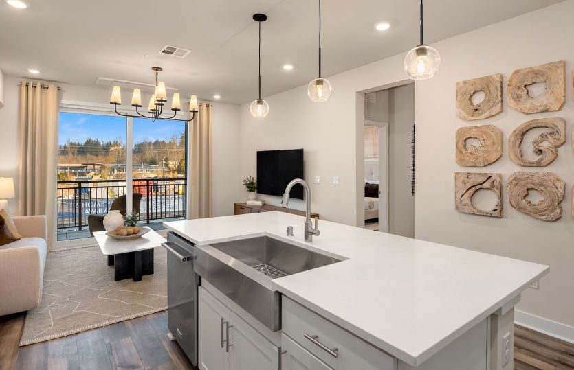 Entertainer's Kitchen