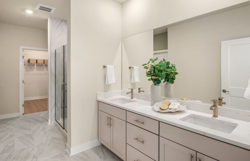 Primary Suite Bathroom