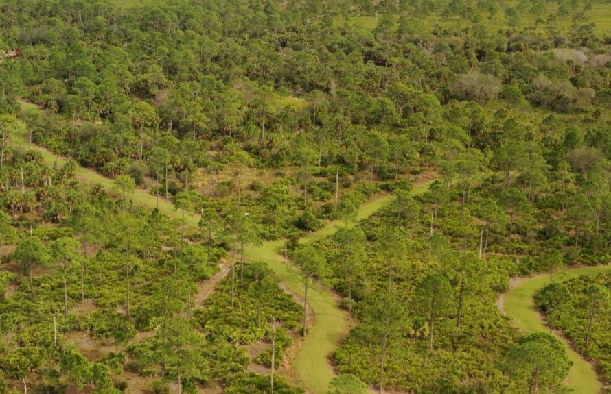 Miles of Walking Trails