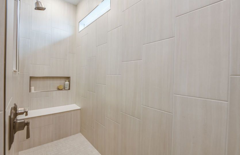 Owner's Walk-In Shower