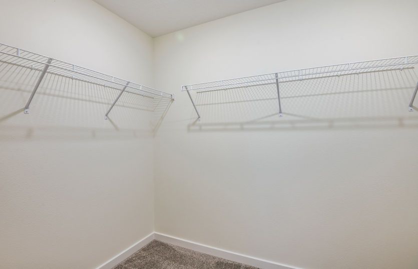 Owner's Walk-In Shower