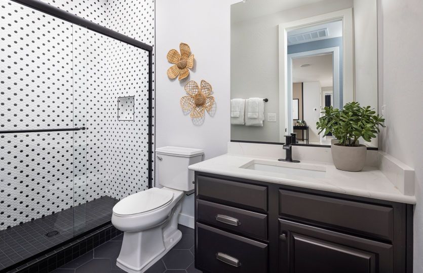 New Build Homes in AZ