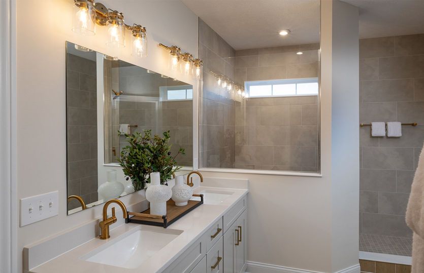 Owner's Bath