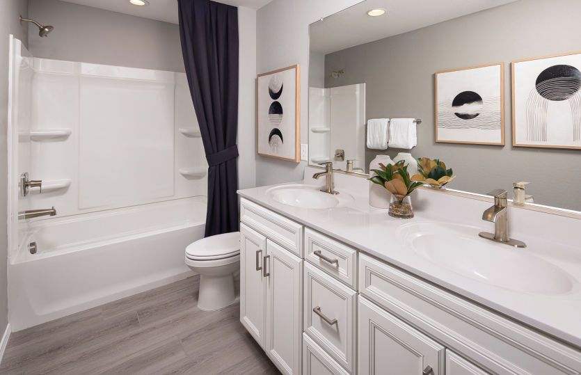 New Construction in Maricopa