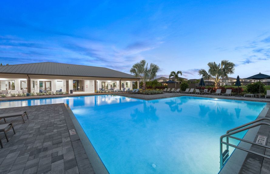 Resort Pool - Conceptual