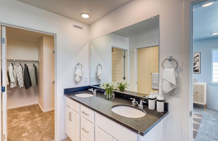 Owner's Bath