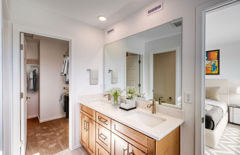 Owner's Bath